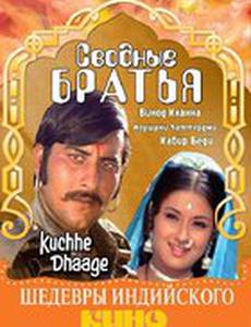 Сводные братья