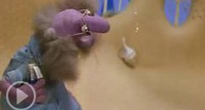 Мультфильм 