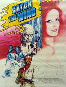 Ищи ветра...