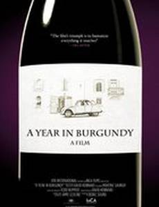 A Year in Burgundy