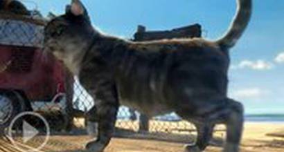 Трейлер (русский дублированный) 