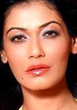 Паял Рахатхи фото