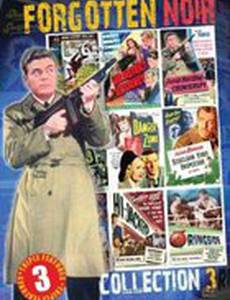 David Harding, Counterspy