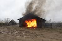 Кадр Белый тигр