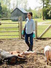 Кадр Под куполом