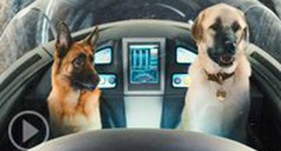 Трейлер (русский дублированный)