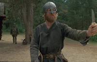 Кадр И на камнях растут деревья