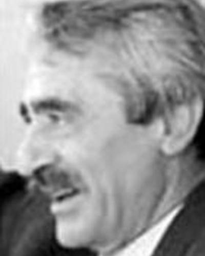 Борис Небиеридзе фото