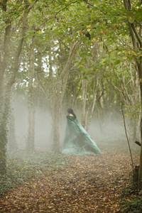 Кадр Мерлин