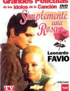 Просто розы