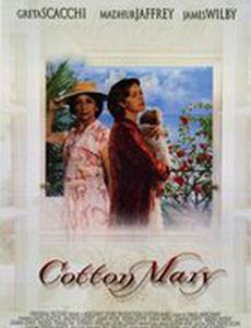 Коттон Мэри