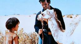 Кадр из фильма "Один маленький индеец" - 1