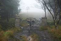 Кадр Голос монстра