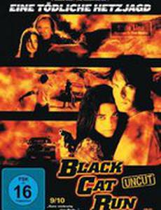 Бег черной кошки