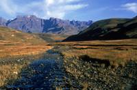 Кадр В моей стране