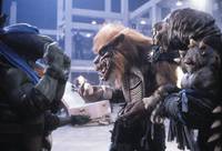 Кадр Черепашки-ниндзя 2: Тайна изумрудного зелья