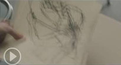 Международный трейлер