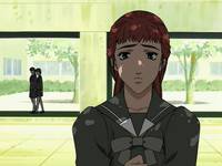 Кадр 12 королевств