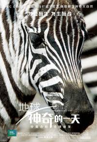 Постер Земля: Один потрясающий день