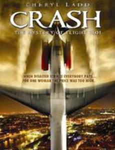 Ошибка пилота: Тайна рейса 1501