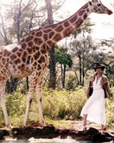 Эрин Уоссон фото