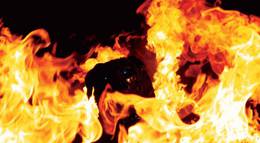 Кадр из фильма "Ротвейлер" - 2