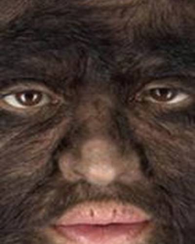 Хесус Асевес фото