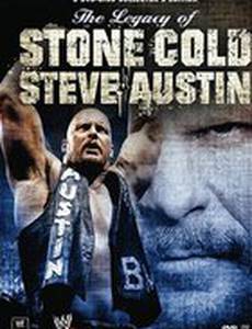 Наследие ледяной глыбы Стива Остина (видео)