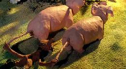 Кадр из фильма "Кот в сапогах" - 2