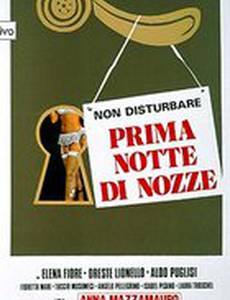 Первая брачная ночь