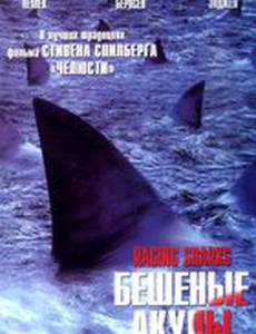 Бешеные акулы (видео)