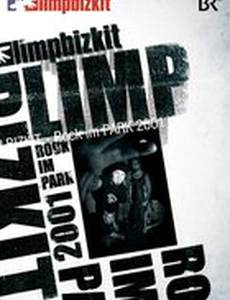 Limp Bizkit: Rock in the Park (видео)