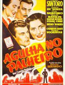 Иголка в стоге сена