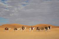 Кадр Королева пустыни