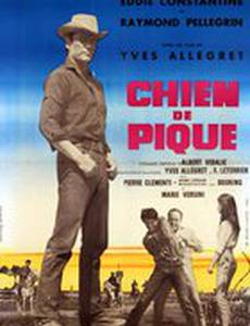 Собачий пикник