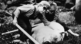 Кадр из фильма "И карлики начинают с малого" - 1