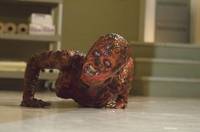 Кадр Мастера ужасов