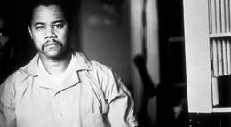 Кадр из фильма "Убийца ворон (видео)" - 1