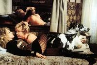 Кадр Das gelbe Haus am Pinnasberg