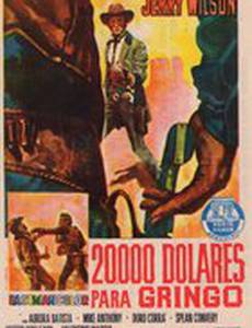 20 000 долларов, залитых кровью