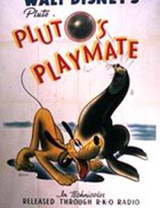Приятель Плуто