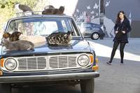 Кадр Новенькая