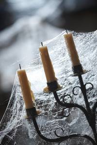 Кадр Мерлин