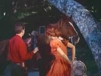 Кадр Шомпольщик