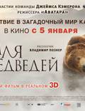 Постер из фильма "Земля медведей" - 1