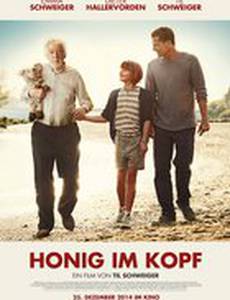 Мед в голове