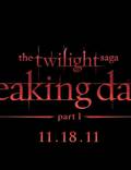 Постер из фильма "Сумерки. Сага. Рассвет: Часть 1" - 1