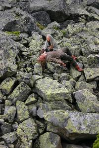 Кадр Волкодав