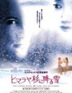 Заснеженные кедры