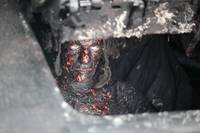 Кадр Белый тигр